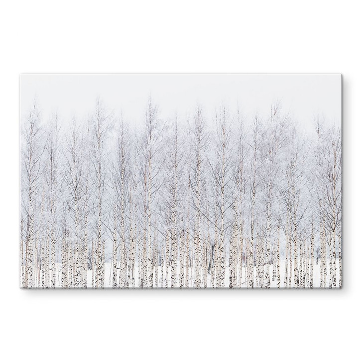 Glasbild Birkenwald im Winter - EMELIEmaria - WA495010