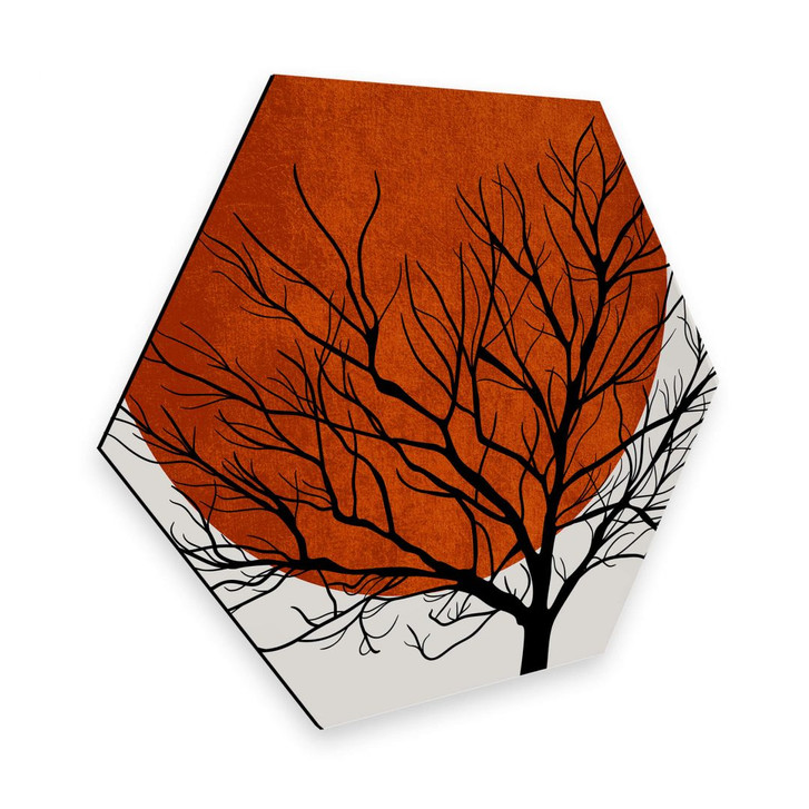 Hexagon - Alu-Dibond - Kubistika - Warmer Sonnenuntergang - WA262787