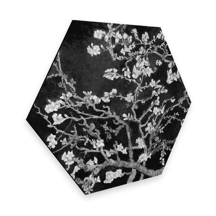 Hexagon - Alu-Dibond van Gogh - Mandelblüte - schwarz - WA309459