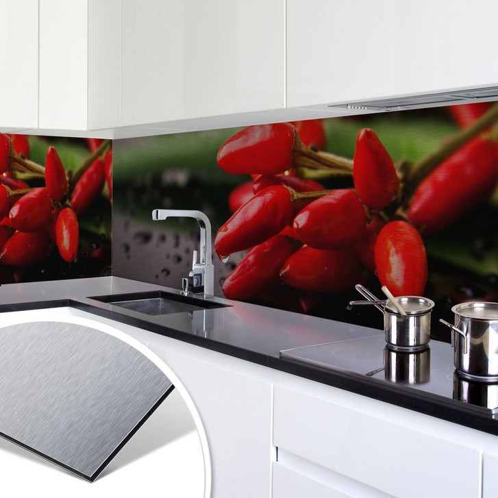 Küchenrückwand - Alu-Dibond-Silber - Exotische Schärfe - WA134653