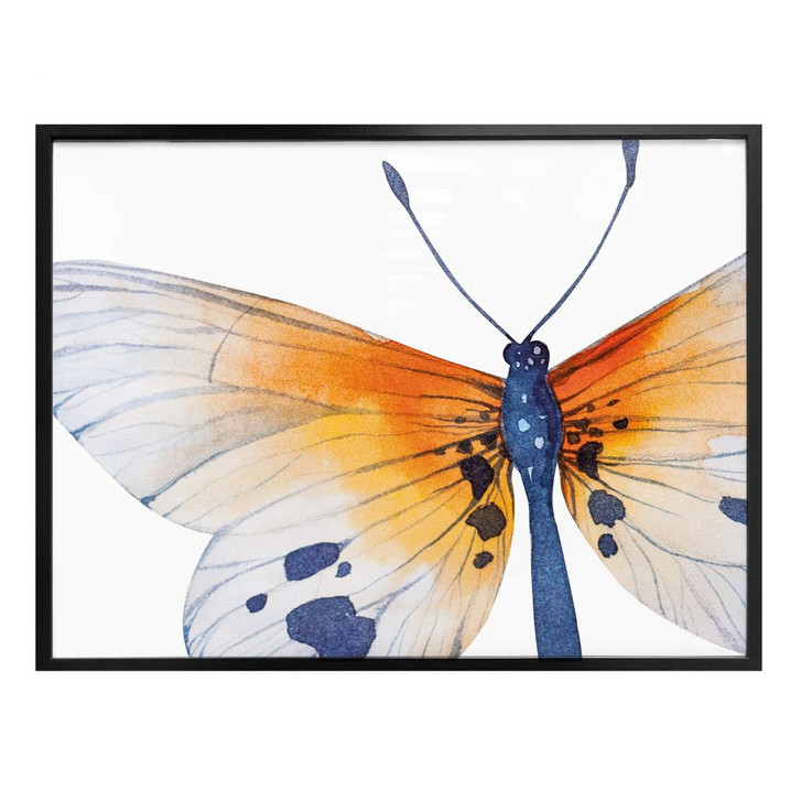 Poster Kvilis - Schmetterling 02 - WA162476