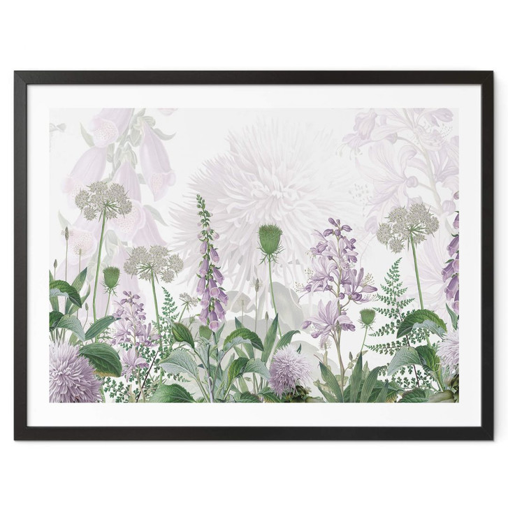 Poster Sir Edward - Lila Fingerhut - WA380285