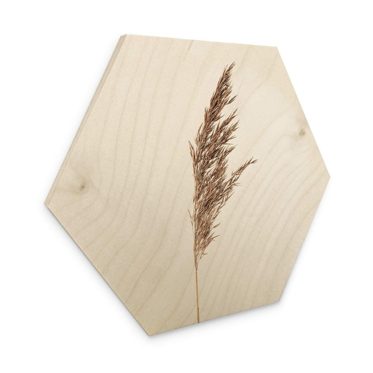 Hexagon - Holz Ziergras No. 1 - WA321034