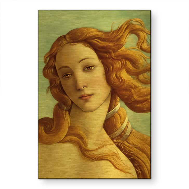 Alu-Dibond gebürstet mit Goldeffekt - Portrait der Venus - Botticelli - WA514875
