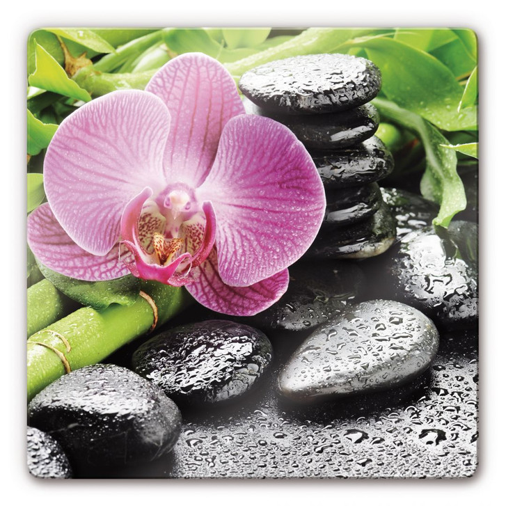 Glasbild Spa Concept - WA127794