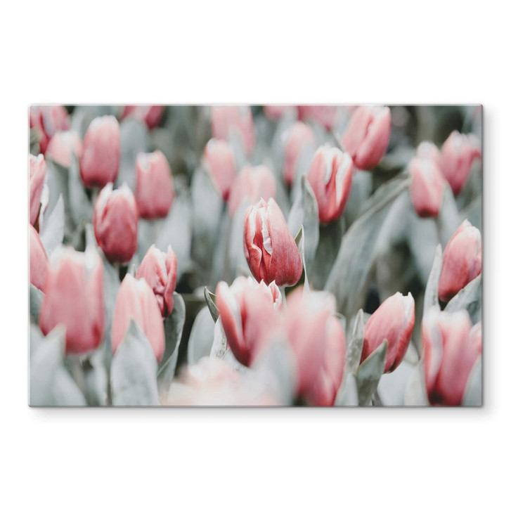 Glasbild Annie - Frühlingstulpen - WA315165