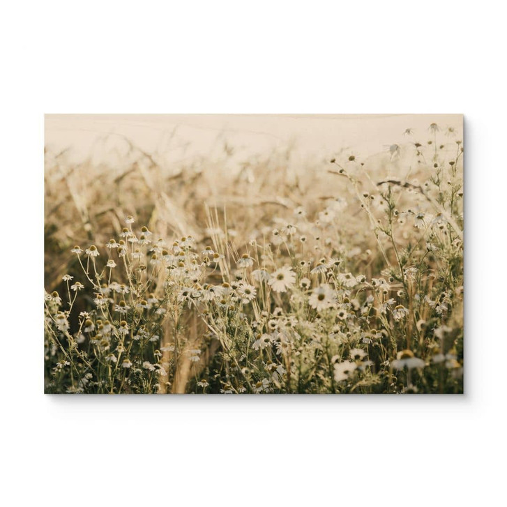 Holzbild Sommerwiese mit Kamille - Annie - WA472108