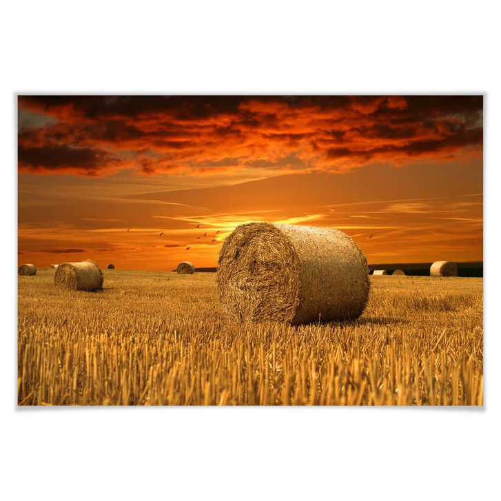 Poster Strohballen - WA167188