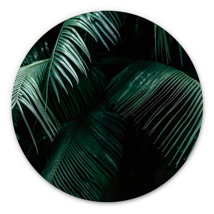 Alu-Dibond Tropische Botanik - Rund - WA340381