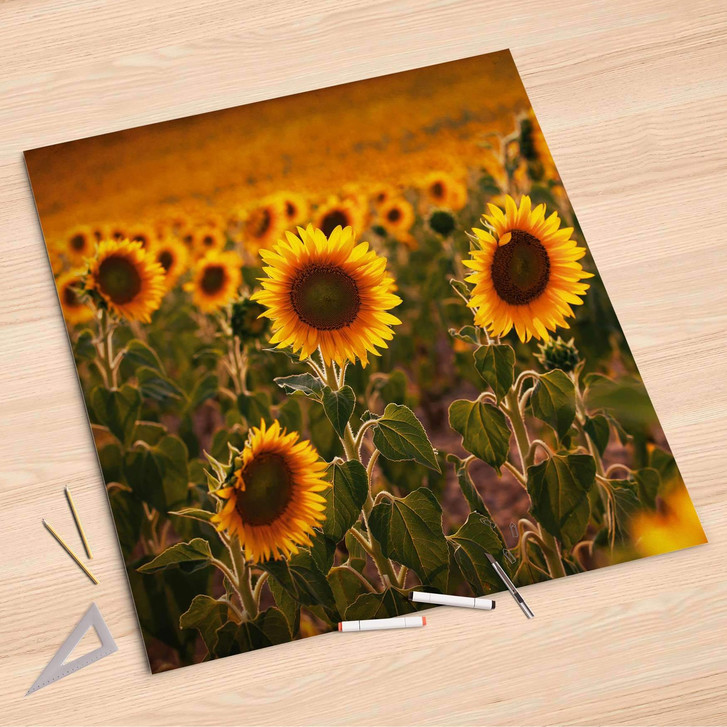 Folienbogen (90x90cm) - Sunflowers - CR107681