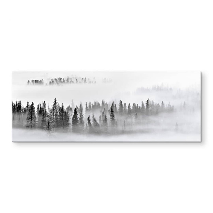 Glasbild Nebelwald in Schwarz-Weiss - Panorama - Xu - WA400006