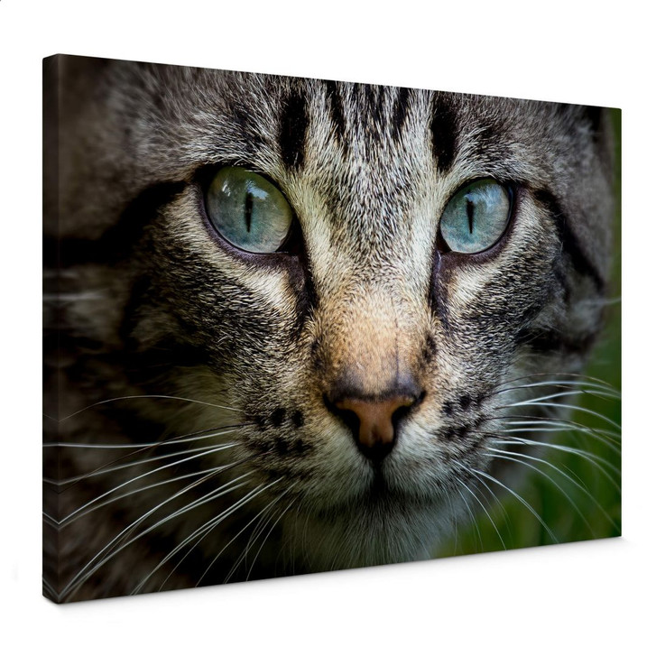 Leinwandbild Cuadrado - In your eyes - WA361278