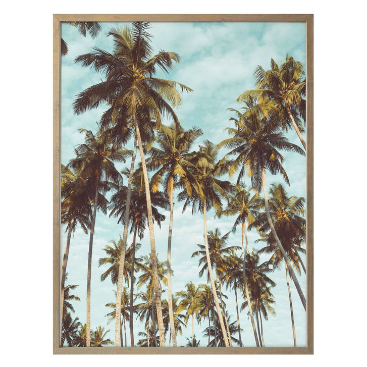 Poster Galeriestil - Palmen 08 - WA238692