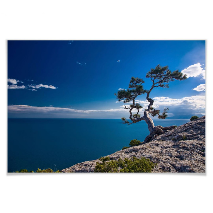 Poster Sea and Tree - WA166613