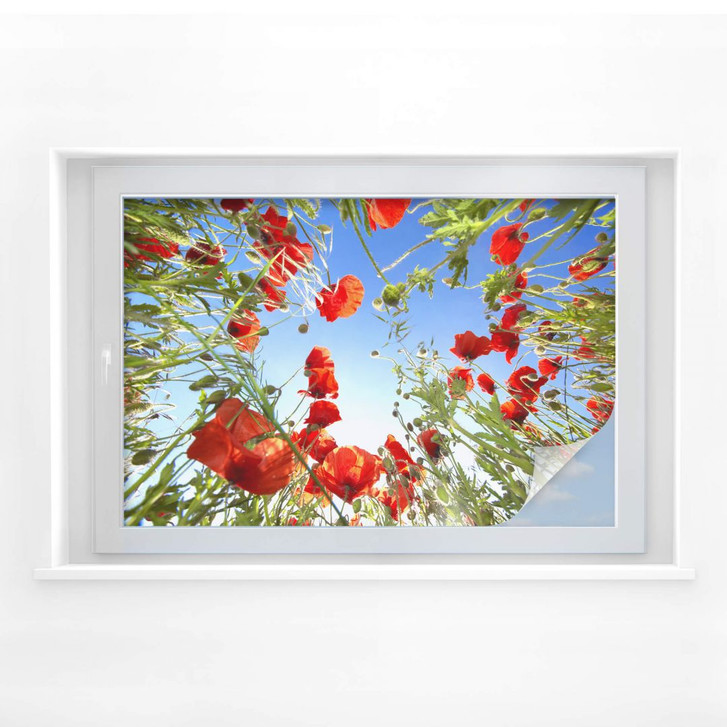 Sichtschutzfolie Mohnfeld - WA175966