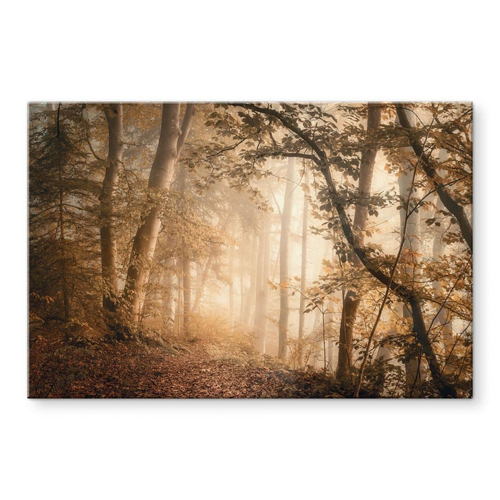 Acrylglasbild Wald im morgendlichen Nebel - Maier - WA479051