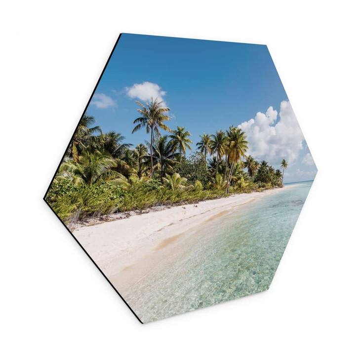 Hexagon Wandbild Palmenstrand in der Südsee - Colombo - Alu-Dibond - WA464913