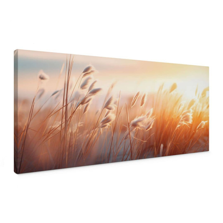 Leinwandbild Dünengras in der Abendsonne - Treechild - Panorama - WA472675