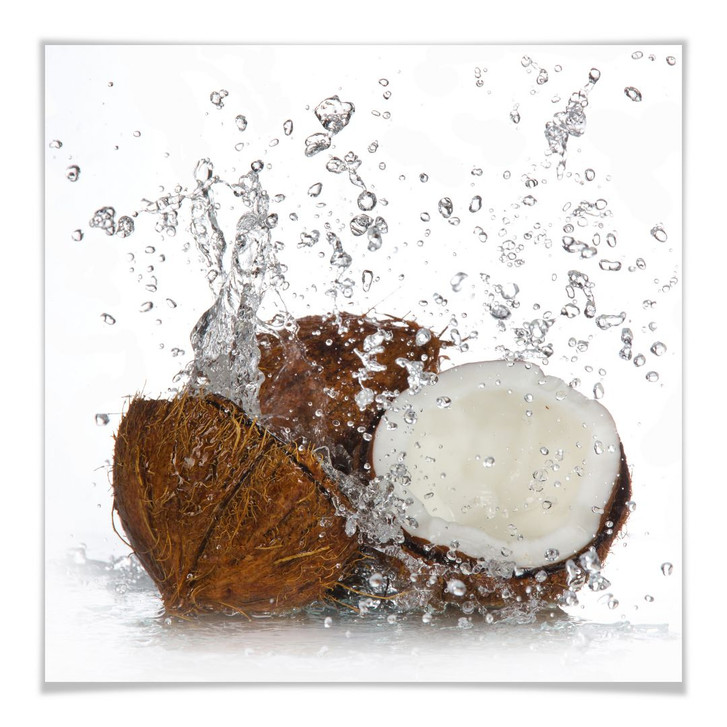 Poster Caribbean Coconut - WA246807