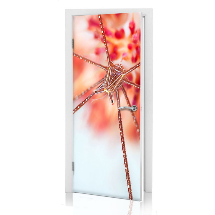 Türdesign Narchuk - Unterwasser-Exotik - WA241466