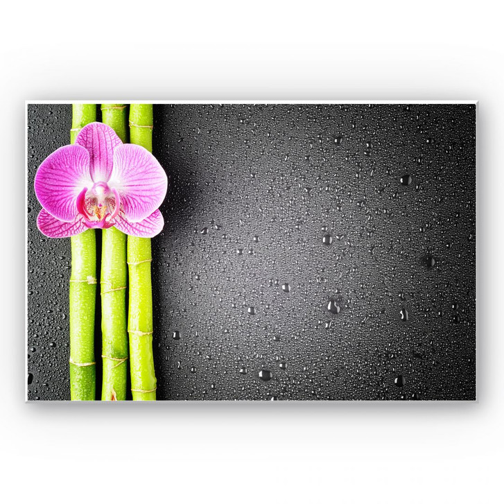 Wandbild Orchid and Bamboo - WA195028
