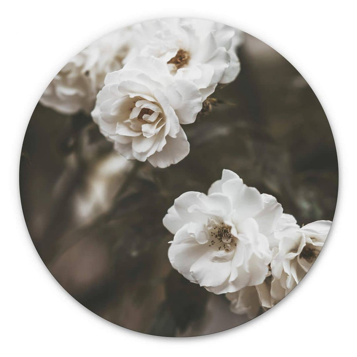 Alu-Dibond Annie - Louise Bugnet - Rund - WA313831