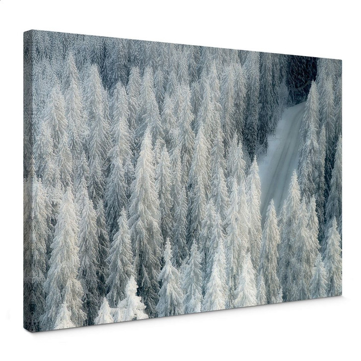 Leinwandbild Kalliolahti - Weisser Winter - WA366293