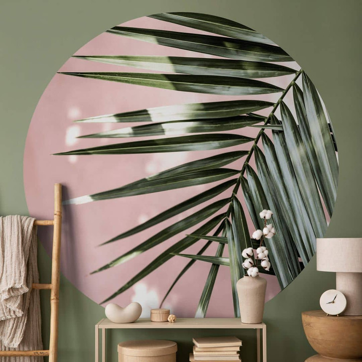 Fototapete Palmenblatt vor rosa Wand - Böhmer - Rund - Selbstklebend/Vlies - WA399259