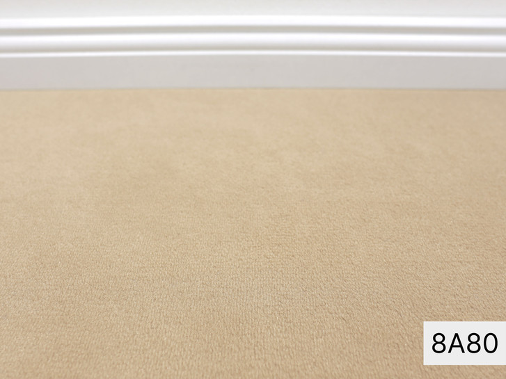 Modena Vorwerk Teppichboden Meterware in 8A80 - TS491824