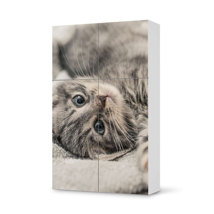Möbel Klebefolie IKEA Besta Schrank 6 Türen (hoch) - Kitty the Cat - CR113368