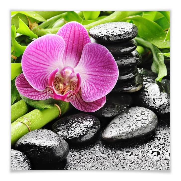 Poster Spa Concept - WA249120