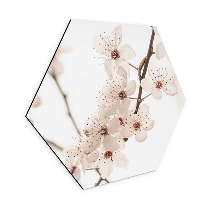 Hexagon Wandbild Zweig mit weissen Kirschblüten - Sisi & Seb - Alu-Dibond - WA464759