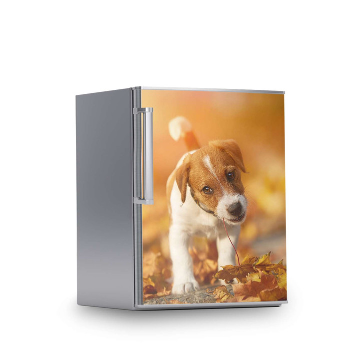 Kühlschrankfolie 60x80cm - Jack the Puppy - CR113249