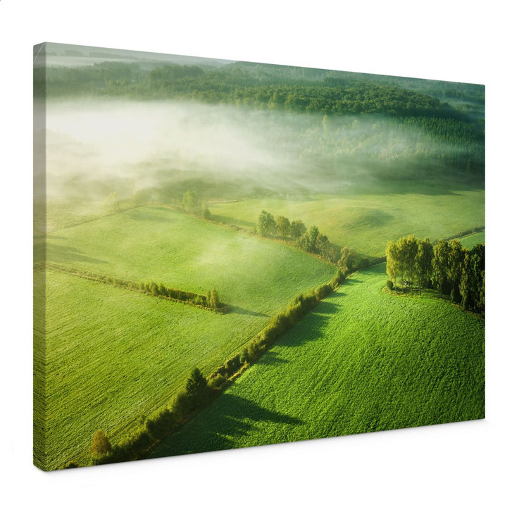 Leinwandbild Idyllische Felder im Nebel | Natur | Wohnzimmer - Keller - WA432751