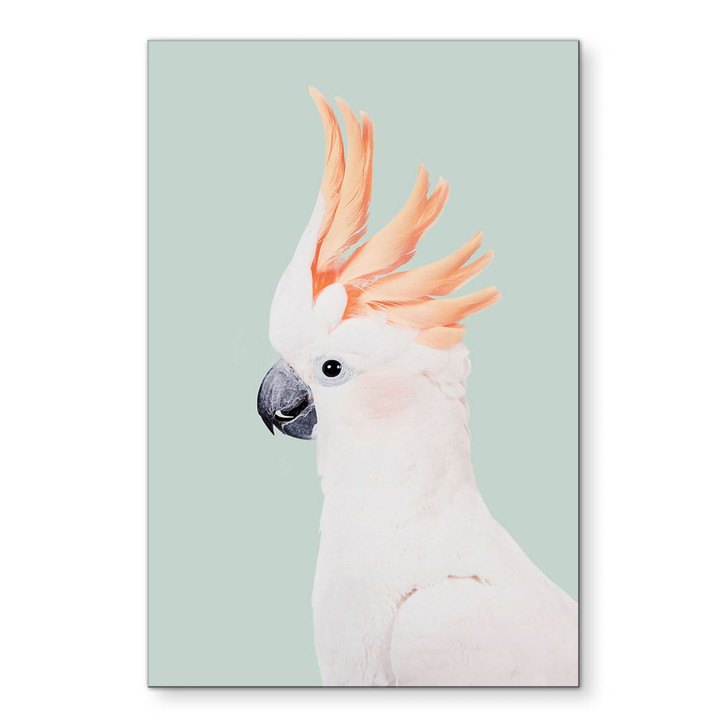 Wandbild Tierporträt Rosa Kakadu - Sisi & Seb - Alu-Dibond - WA423046