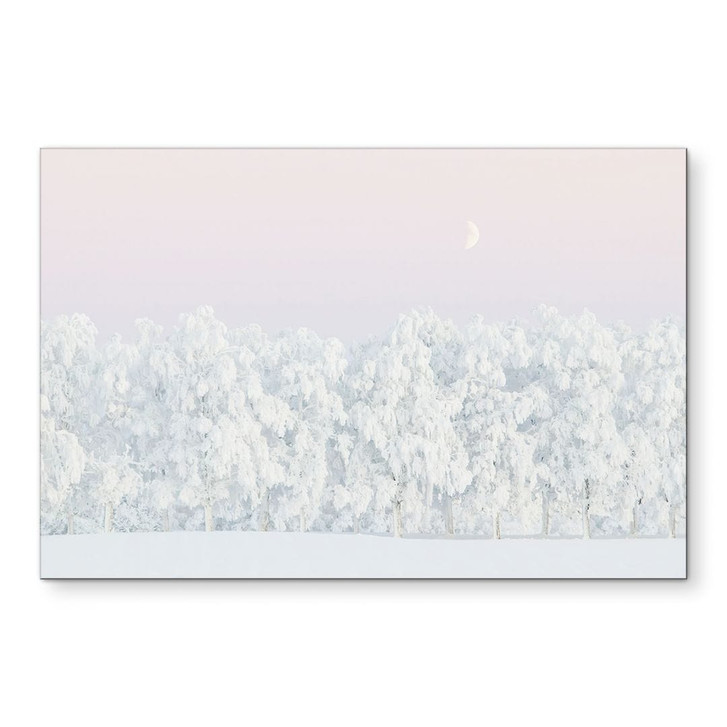 Wandbild Verschneiter Winterwald mit Mond - EMELIEmaria - Alu-Dibond - WA491651