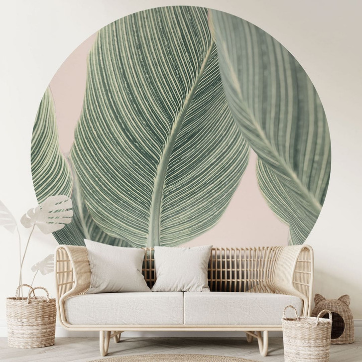 Fototapete Calathea Pflanze - Sisi & Seb - Rund - Selbstklebend/Vlies - WA470681