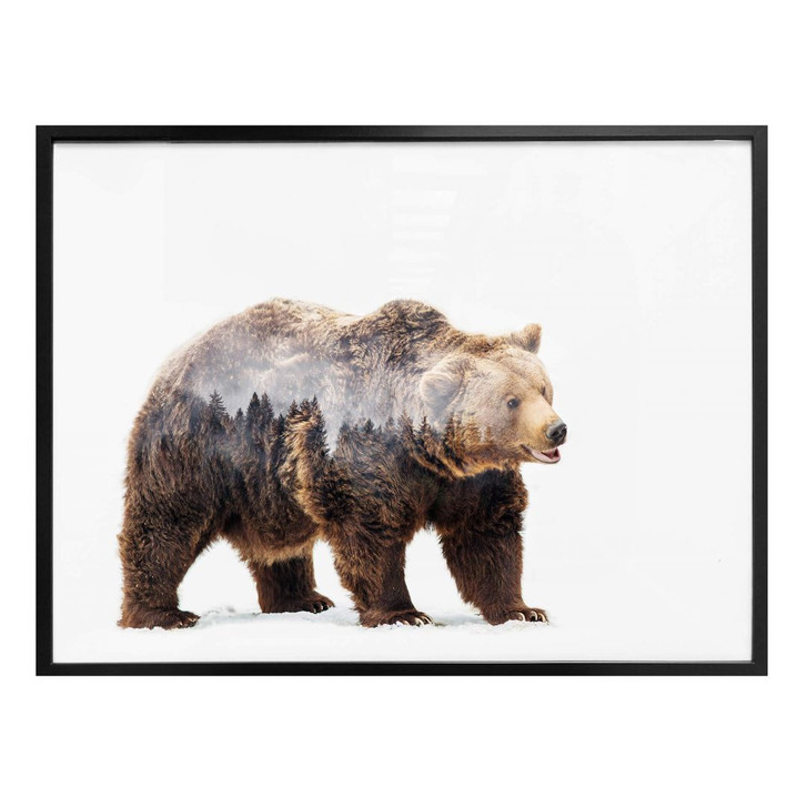 Poster Beáta - Der Bär - WA256866