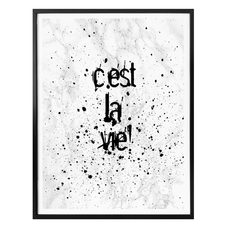 Poster C'est la vie - WA158738