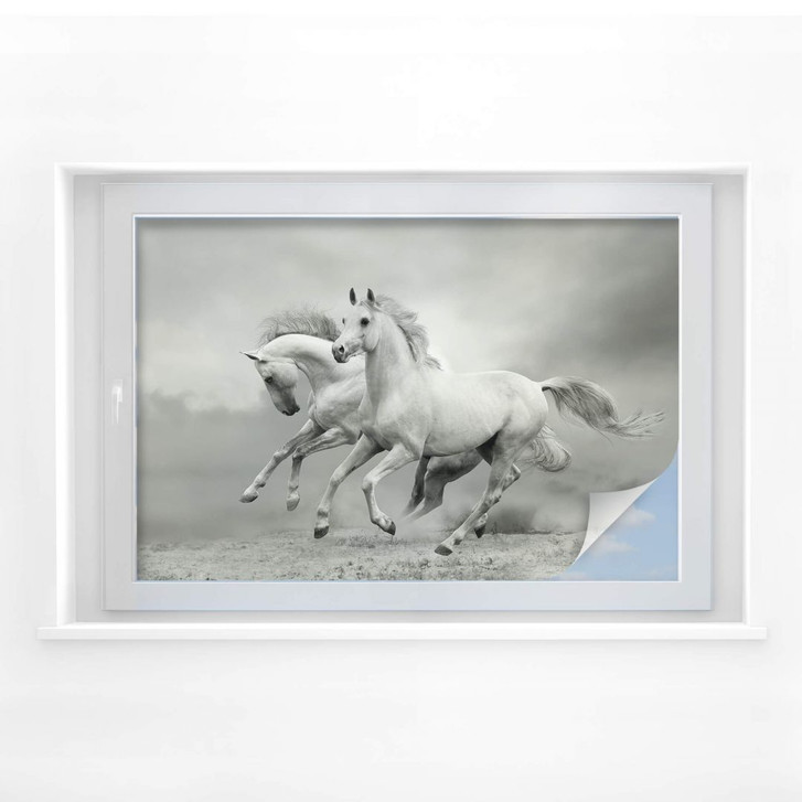 Sichtschutzfolie Pferde im Galopp - WA176384