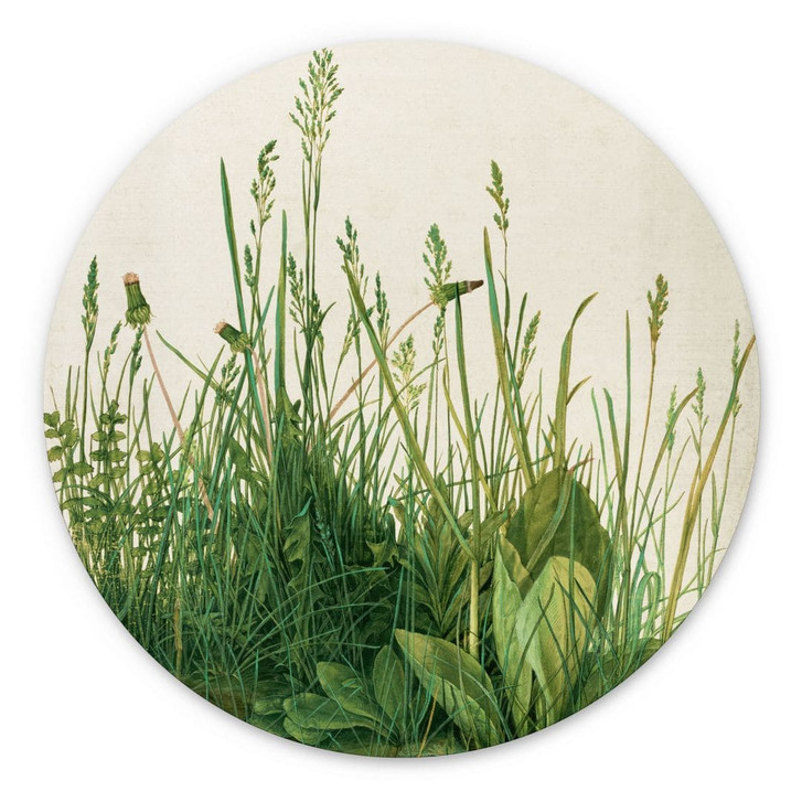 Alu-Dibond Dürer - Das grosse Rasenstück - Rund - WA308221