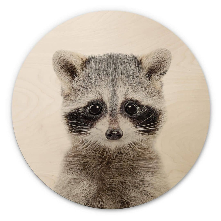 Holzbild Sisi & Seb - Baby Waschbär - Rund - WA321225