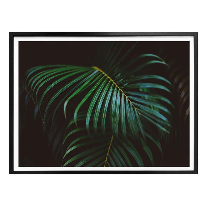 Poster Botanical 04 - WA158251