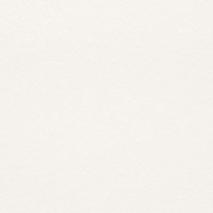 Rasch Vliestapete Makulaturvlies Brick Lane weiss - WA392184