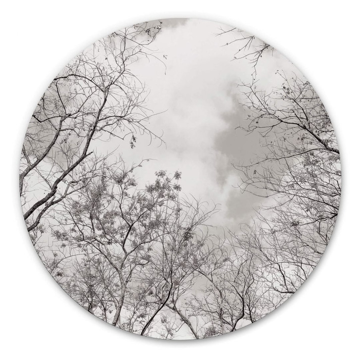 Alu-Dibond Baumkronen im Himmel - Rund - WA305694