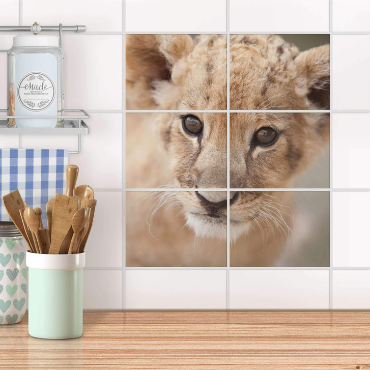 Fliesenfolie quer - Simba - CR104579