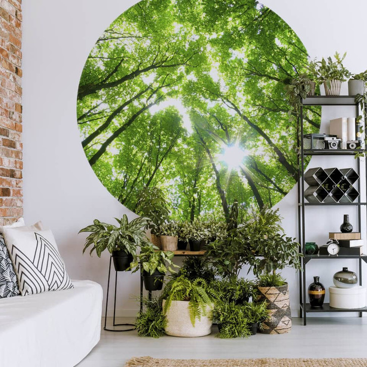 Fototapete Baumkronen im Wald - Rund - Selbstklebend/Vlies - WA270943