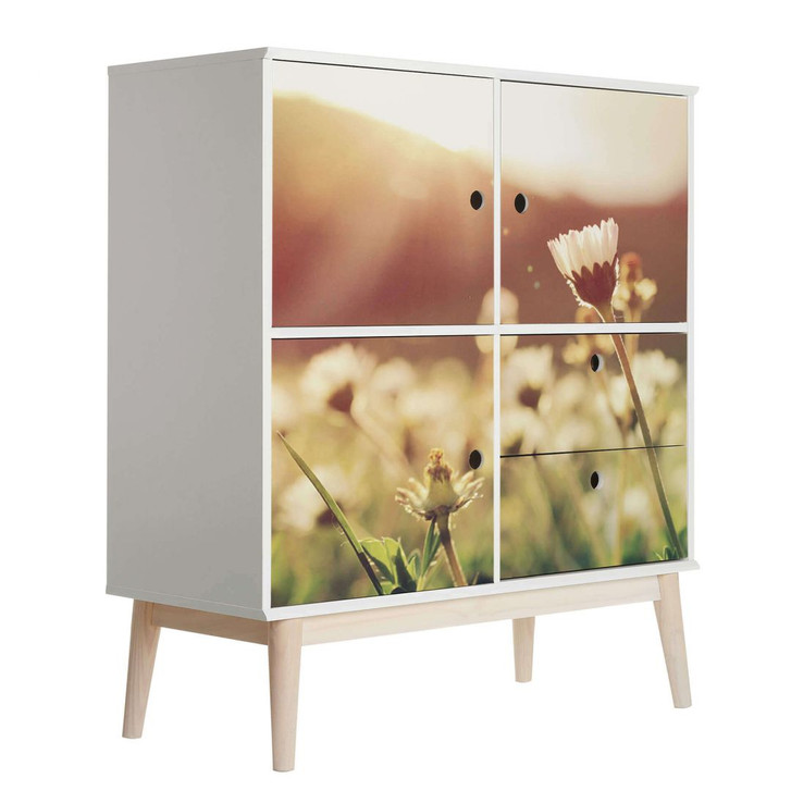 Möbelfolie, Dekofolie - abwischbar - Gänseblümchen im Sonnenschein - WA155641