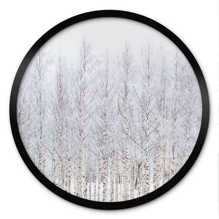 Poster Birkenwald im Winter - EMELIEmaria - Rund - WA498265