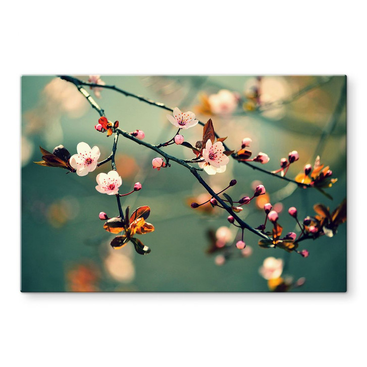 Glasbild Frühlingserwachen - WA123197